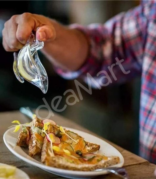 lemon-slice-juicer-product-image