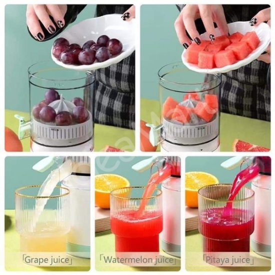 multifunction-portable-rechargeable-juicer-fresh-fruit-mini-juicer-product-image
