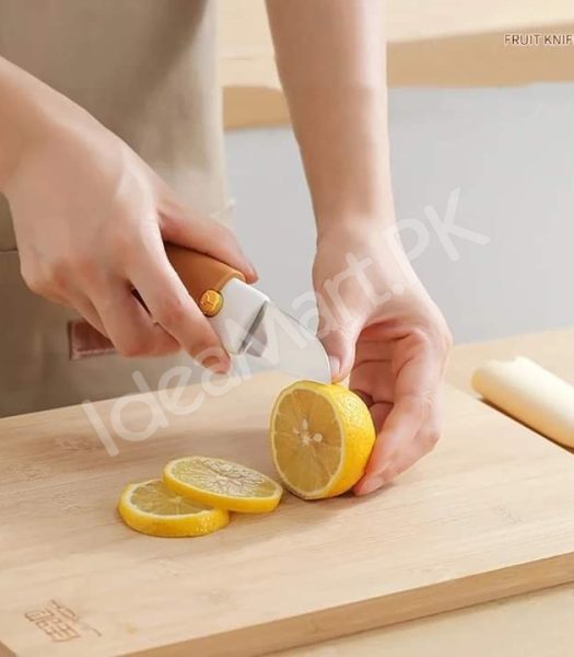 2-in-1-stainless-steel-fruit-vegetable-peeler-with-dual-blades-cover-for-kitchen-or-travel-use-product-image