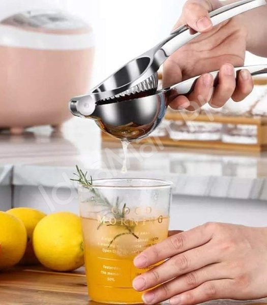 stainless-steel-squeezer-product-image