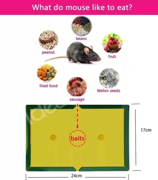 reusable-expert-mouse-glue-traps-sticky-boards-product-image