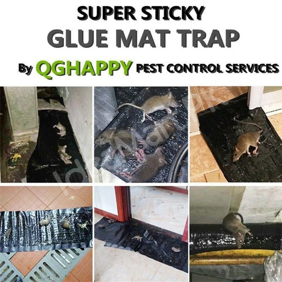 disposable-non-toxic-sticky-trap-mat-for-catching-mice-rats-and-crawling-pests-product-image