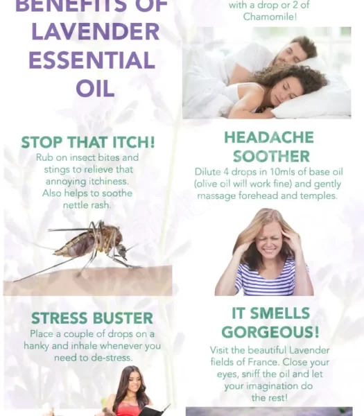 lavender-essential-oil-10ml-100-pure-therapeutic-grade-steam-distilled-vegan-aromatherapy-diffuser-relaxation-oil-concentrated-eo-for-home-spa-product-image