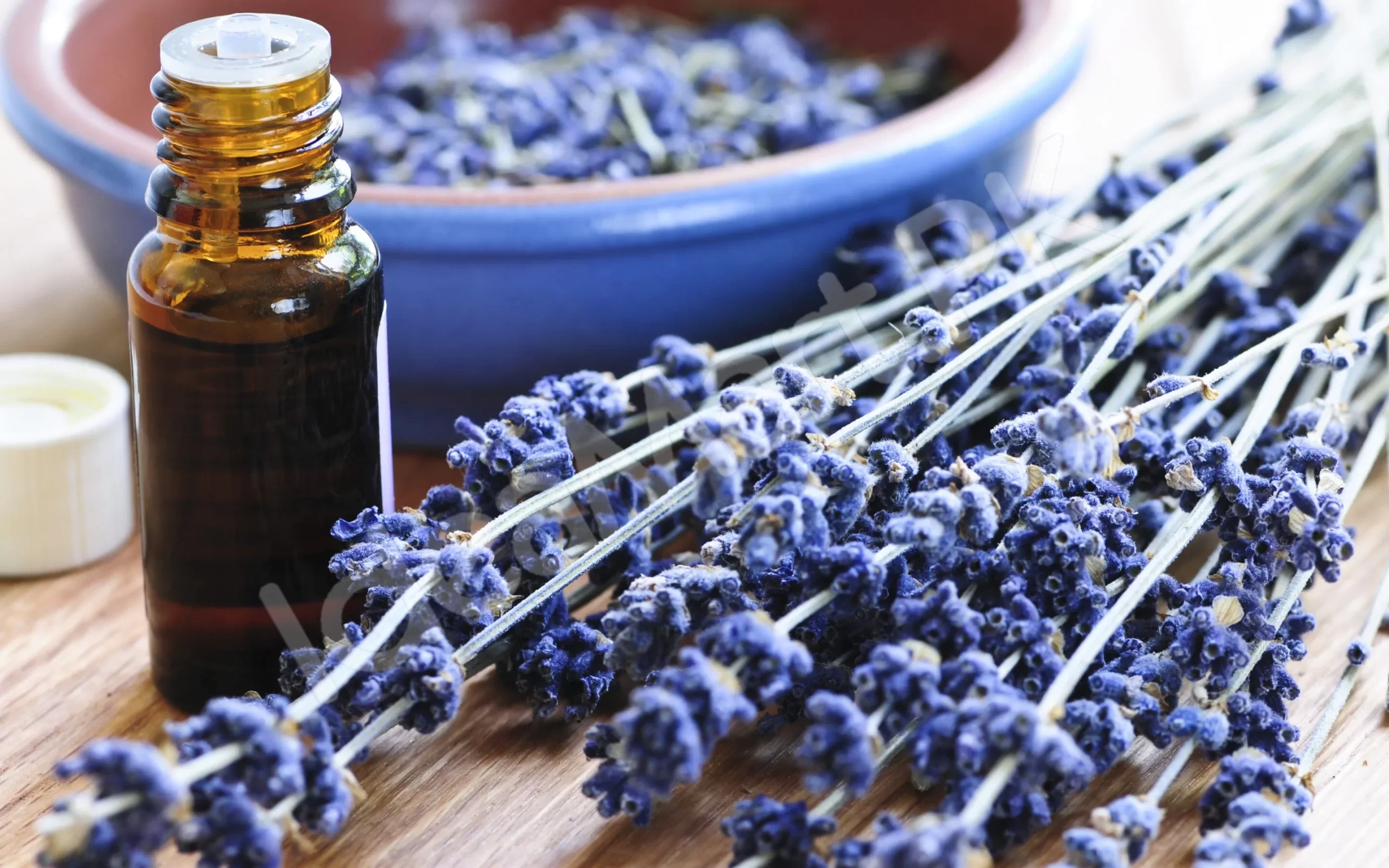 lavender-essential-oil-10ml-100-pure-therapeutic-grade-steam-distilled-vegan-aromatherapy-diffuser-relaxation-oil-concentrated-eo-for-home-spa-product-image